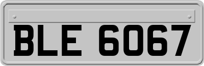 BLE6067