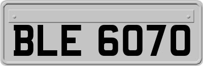 BLE6070
