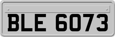 BLE6073