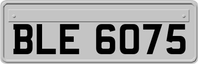 BLE6075