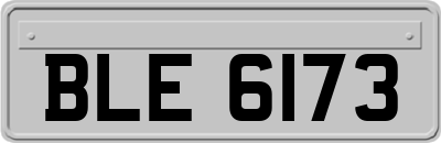 BLE6173