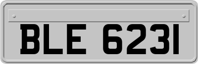 BLE6231