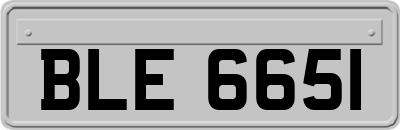 BLE6651