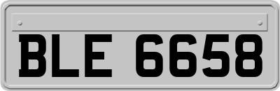 BLE6658