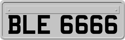 BLE6666
