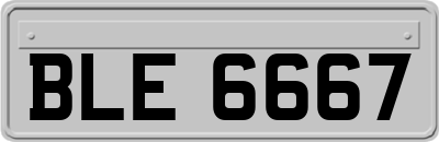 BLE6667