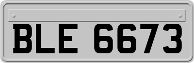 BLE6673