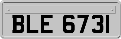 BLE6731