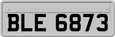 BLE6873