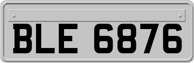 BLE6876