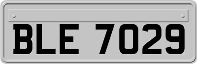 BLE7029