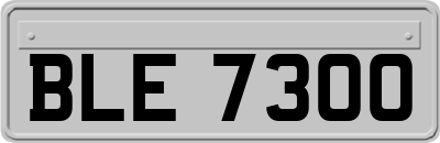 BLE7300