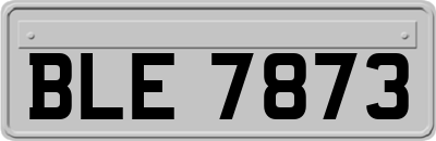BLE7873