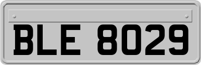 BLE8029