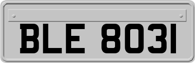 BLE8031