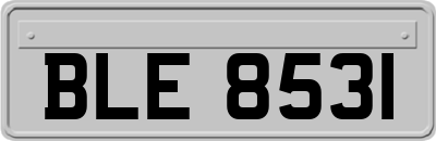 BLE8531
