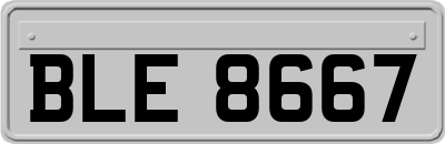 BLE8667