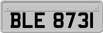 BLE8731
