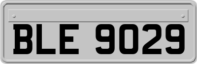 BLE9029