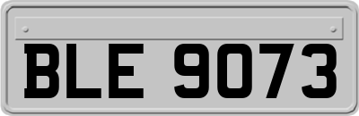 BLE9073