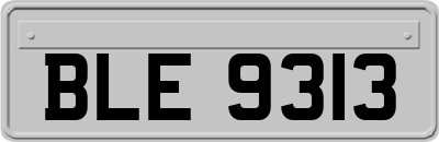 BLE9313