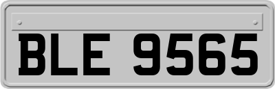 BLE9565
