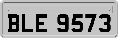 BLE9573