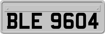 BLE9604