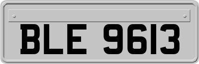 BLE9613