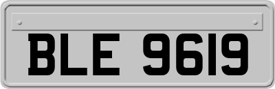 BLE9619