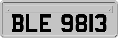 BLE9813