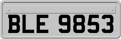 BLE9853