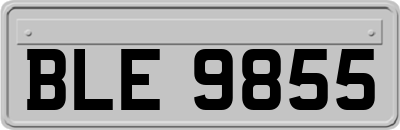 BLE9855