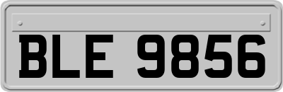 BLE9856