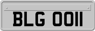 BLG0011