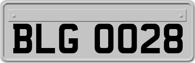 BLG0028