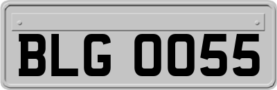 BLG0055