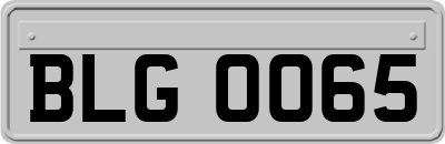 BLG0065