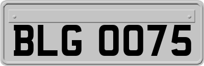 BLG0075