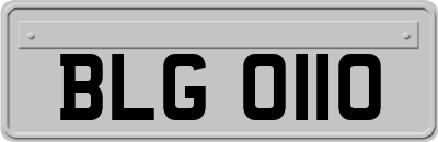 BLG0110