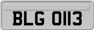 BLG0113