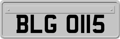 BLG0115
