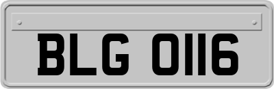 BLG0116