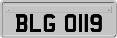BLG0119