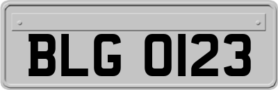 BLG0123