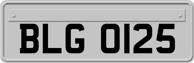 BLG0125
