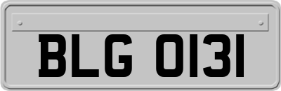 BLG0131