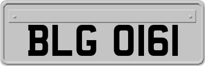 BLG0161