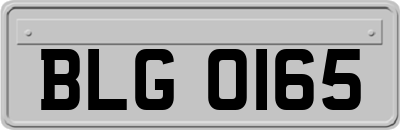 BLG0165