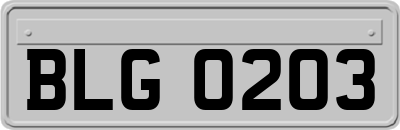 BLG0203